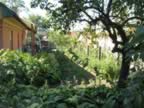 Homrogd030926 130.jpg (142kb)